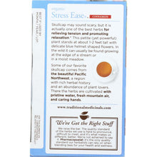 Load image into Gallery viewer, TRADITIONAL MEDICINALS: Organic Stress Ease Cinnamon Tea 16 Tea Bags, 0.85 oz
