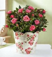 Load image into Gallery viewer, Classic Budding Rose, Large