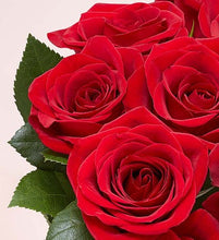 Load image into Gallery viewer, Two Dozen Red Roses with Red Vase