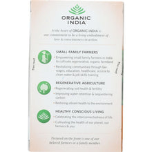 Load image into Gallery viewer, ORGANIC INDIA: Turmeric Rooibos Infusion Tea, 18 bg
